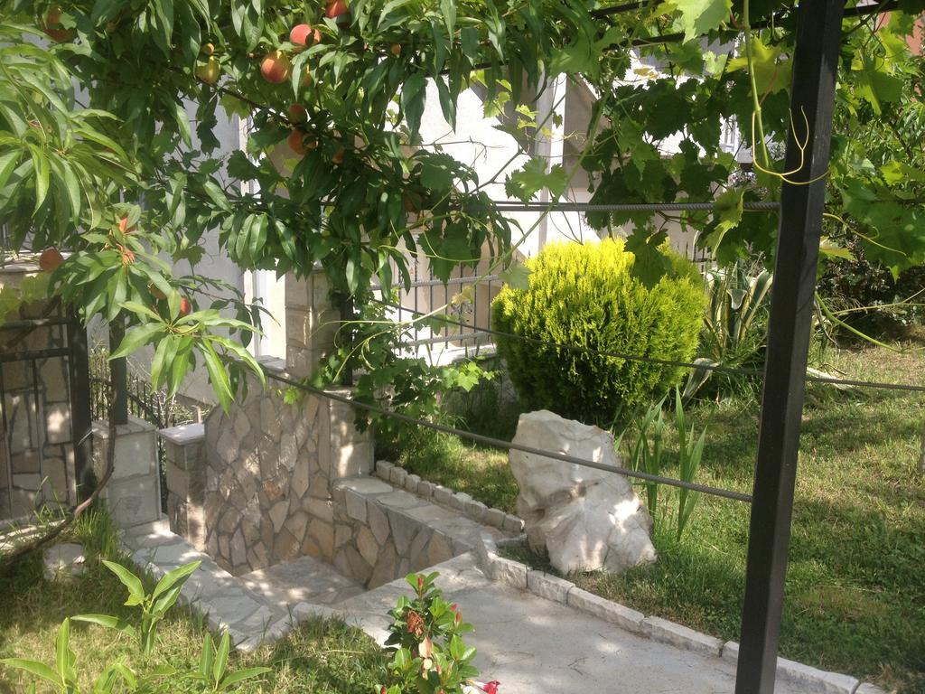 Apartments Svetlana 尤塔哈 外观 照片